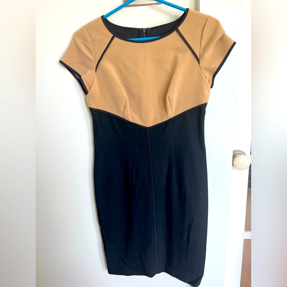 Ann Taylor fitted sheath dress
